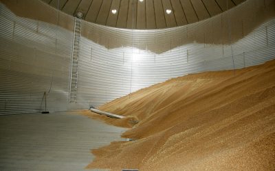 EU storage capacity grains mapped. Photo: Ronald Hissink