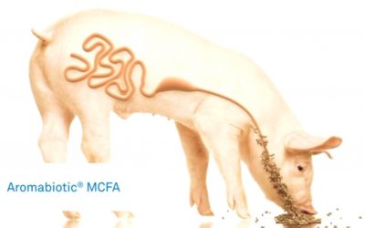 Aromabiotic-MCFA in action