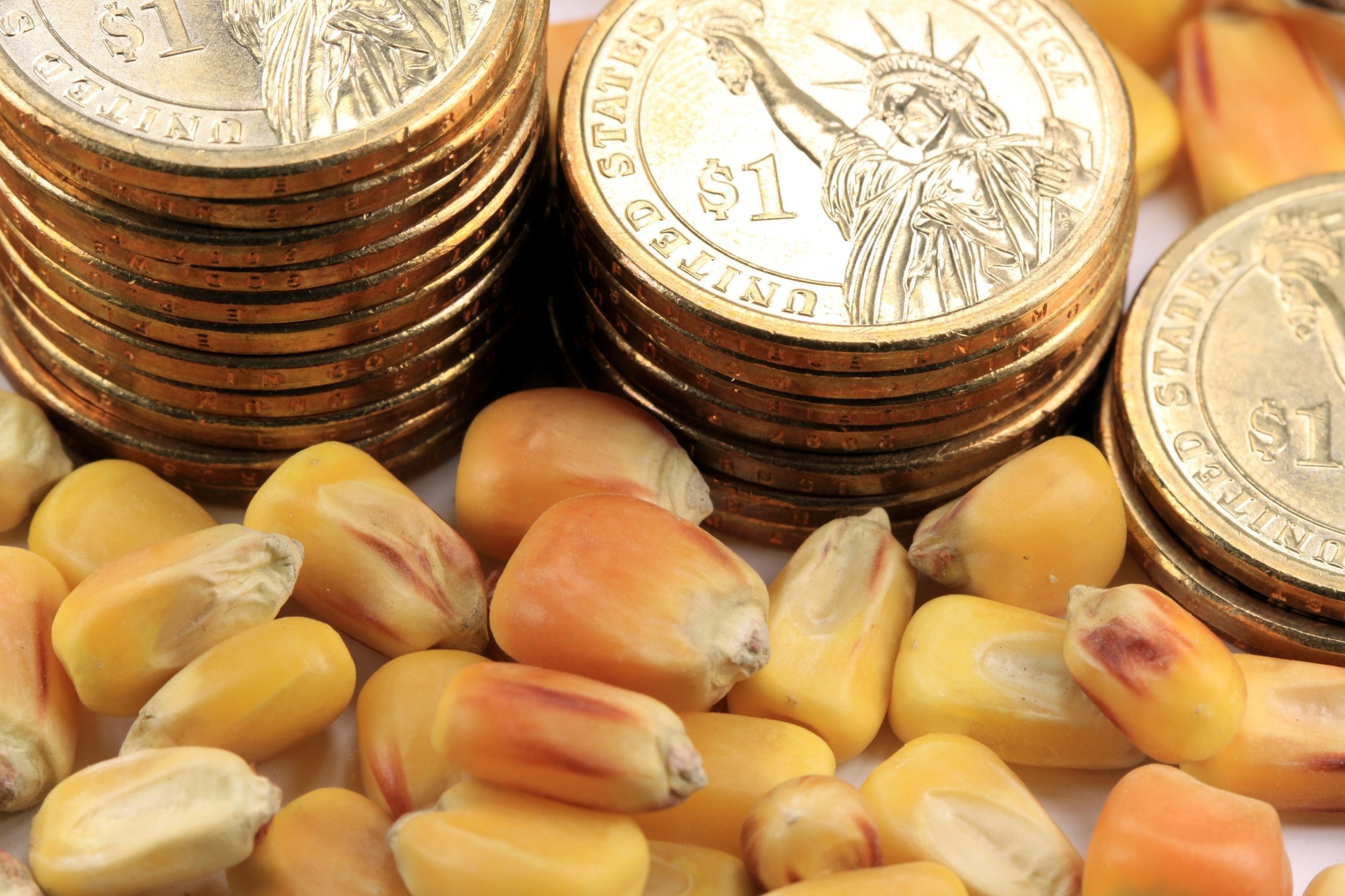 US farmers get $	 12 billion in emergency relief