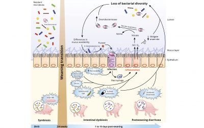 Beat the inflammation for full potential