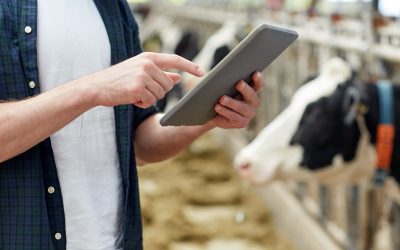 The latest feed business updates from around the world. Photo: Shutterstock