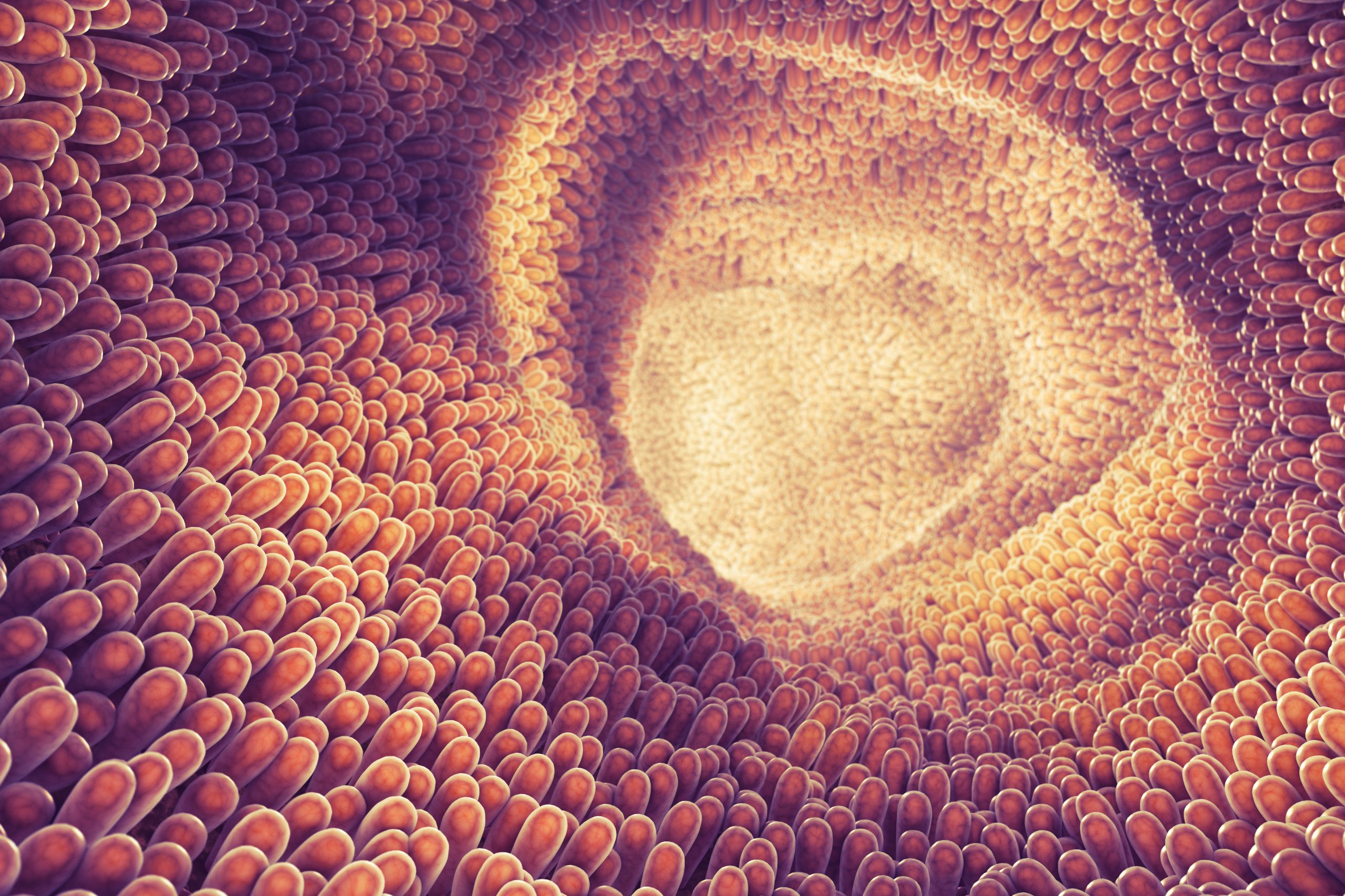 The 5 functions of bile acids. Photo: Shutterstock