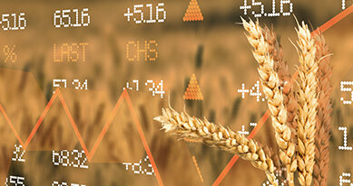 Grain futures