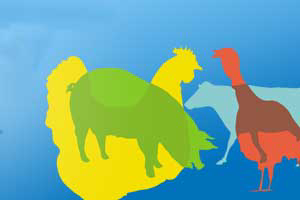 DSM s 1st e-book on livestocks vitamin needs