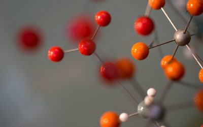 Nutrigenetics and nutrigenomics: Potential for feed. Photo: Shutterstock