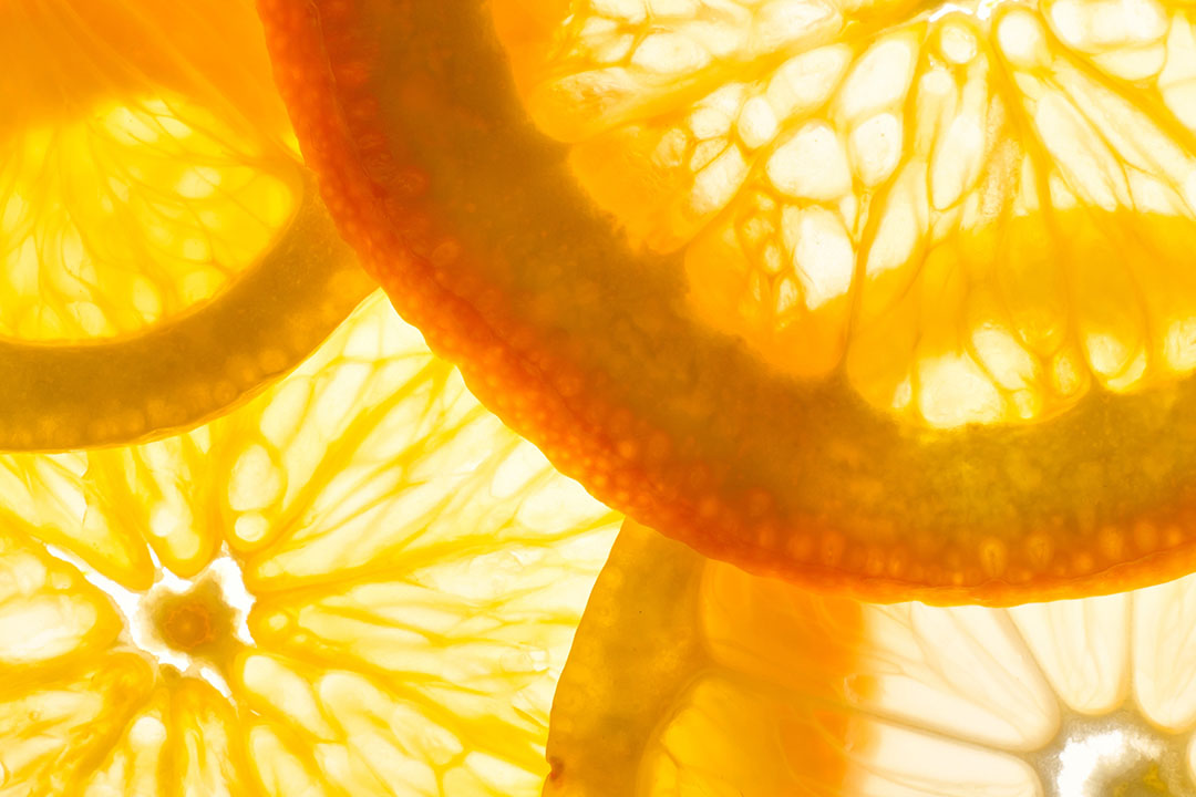 Photo: Shutterstock / Triff