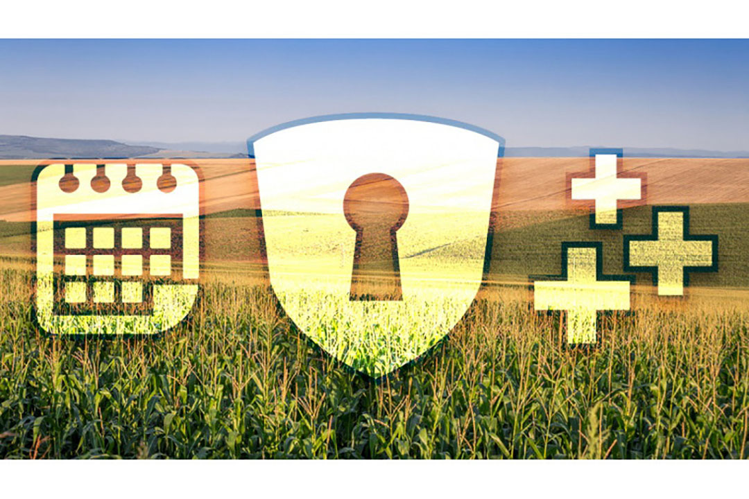 Preventing mycotoxins from developing is the best option for your plants and animals but it's not always possible having a sound management program in place will help to alleviate any related problems. Photo: Alltech.