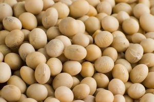 US soybeans and corn see increase on demand