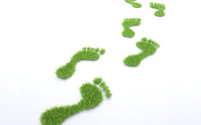 Photo: Shutterstock