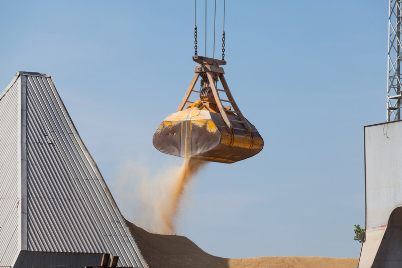 EU exports less wheat, more palm oil. Photo: Dreamstime