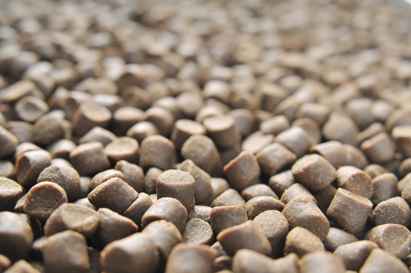 Effects of extruder die temperature on fish pellets