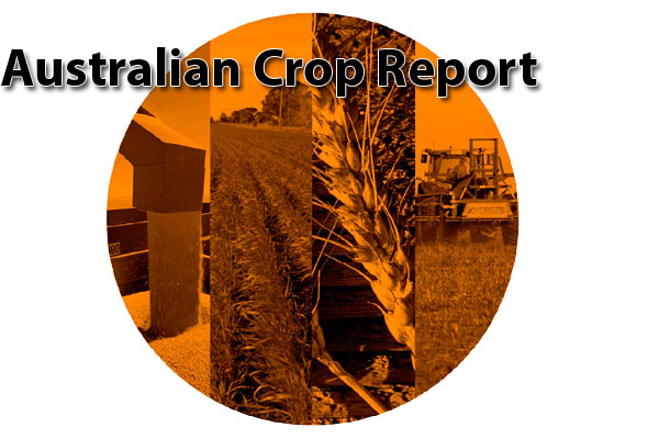 Positive outlook for Australia s winter crop