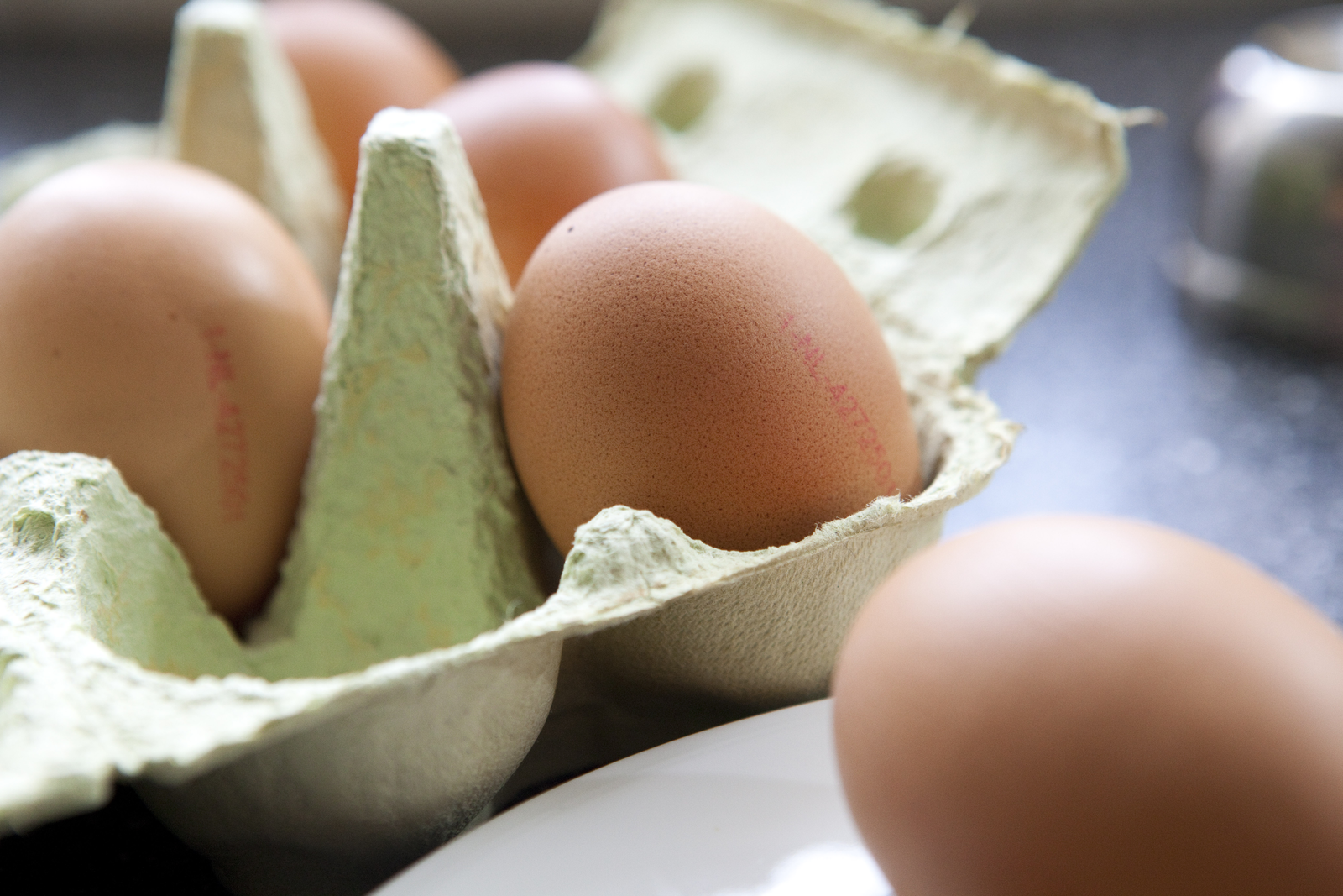 Using algae to produce omega-3 eggs