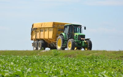 Whopping harvests for one Romanian crop farm. Photo: Chris Mc Cullough