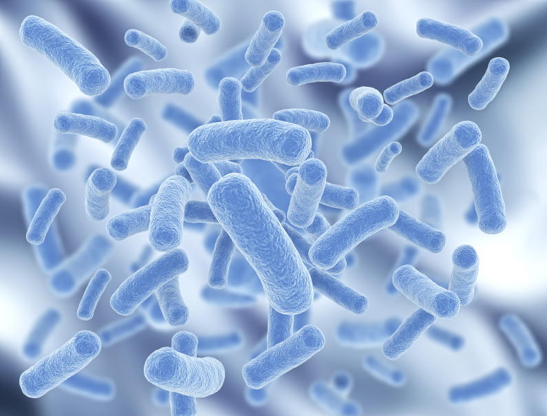 Application is open for probiotics in feed prize
