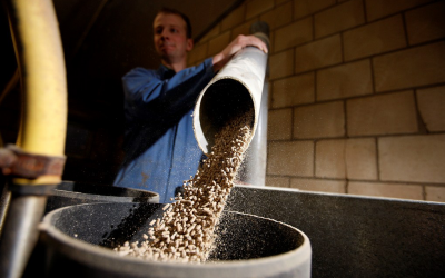 Russian ban affects total feed production