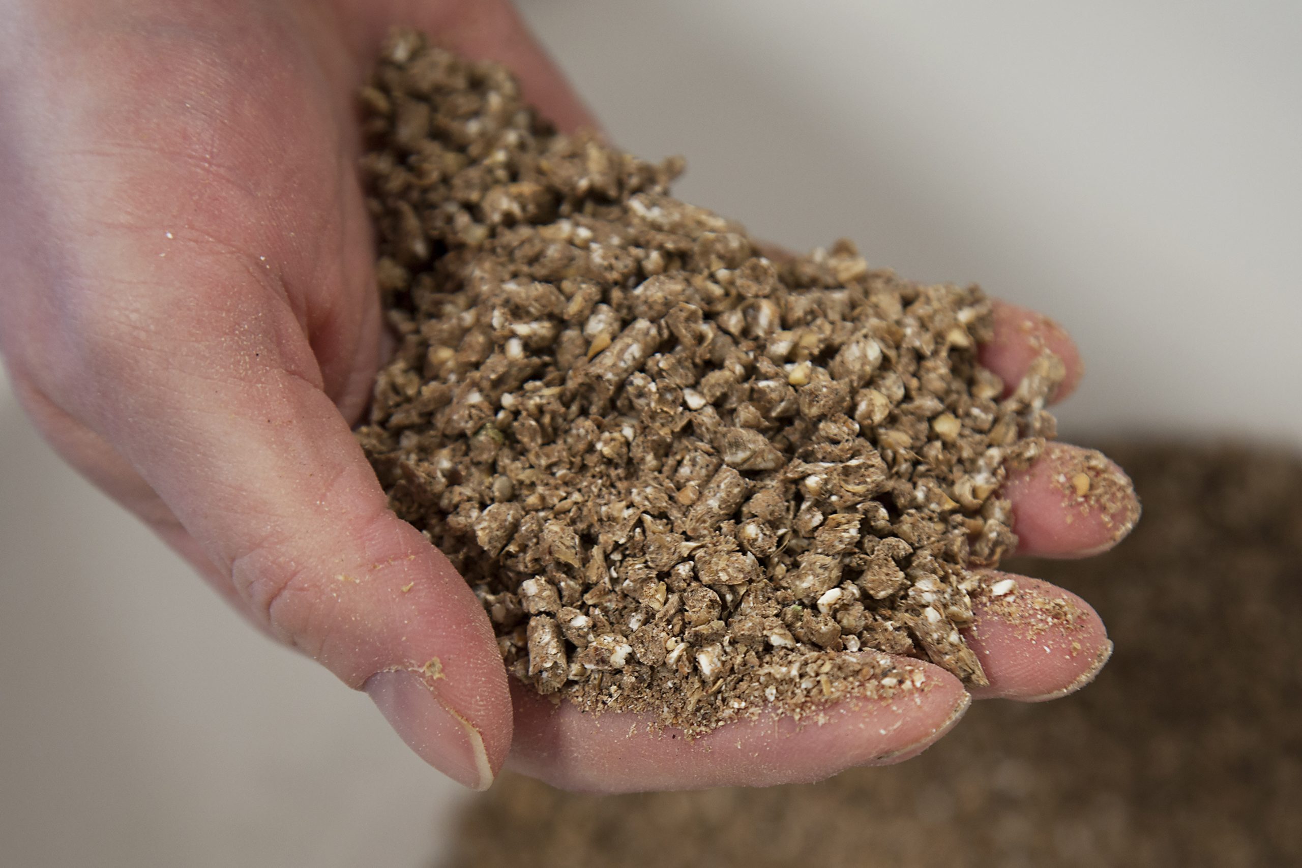 World feed production exceeds 1 billion MT. Photo: Hans Banus