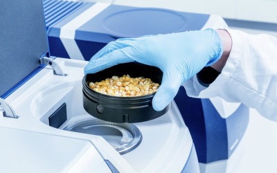 Getting a more accurate measurement of reactive lysine. Photo: Trouw Nutrition