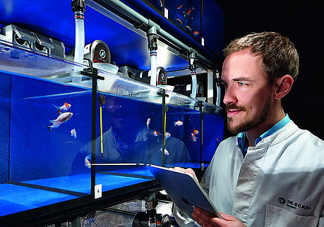 Innovative solutions for the nutrition of fish and shrimp