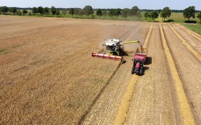 Wheat prices currently depend on the progress of the harvest. Based on harvest forecasts, corn should become cheaper, and until recently, a record yield was expected. However, recent heavy storms in the US Corn Belt now call this prediction into question. Photo: Henk Riswick