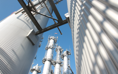 DL-methionine demand rise prompts new plant