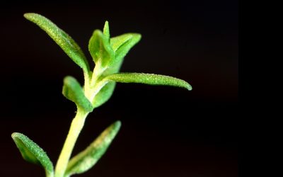 Photo: Shutterstock