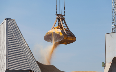 Chinese ports open for Asian grain
