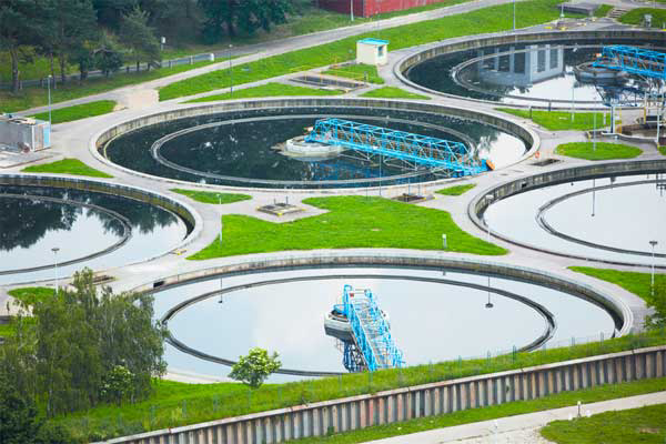 Animal feed proteins from wastewater