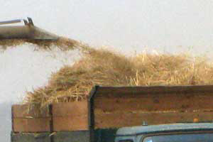 Wheat prices skyrocket after Ukraine's attack on Russia
