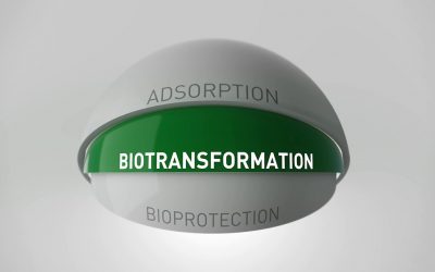 Photo: Biomin