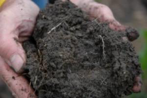 Nitrogen is key in making the most of muck