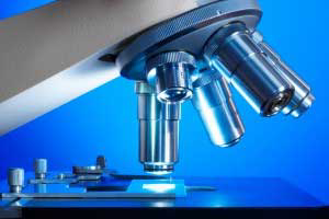 Evonik opens analytical center for animal feed in Asia