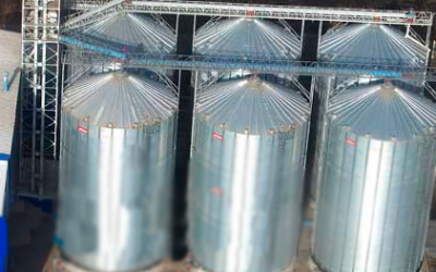 Eurodon launched Russia's largest animal feed mill