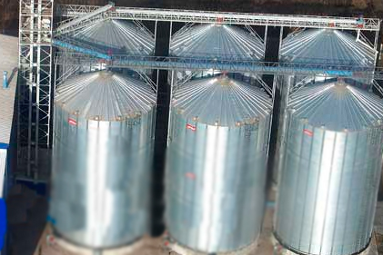 Eurodon launched Russia's largest animal feed mill