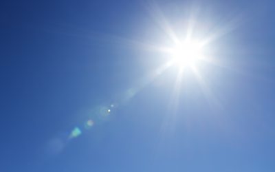 2017 weather leads to blend of mycotoxins. Photo: Shutterstock