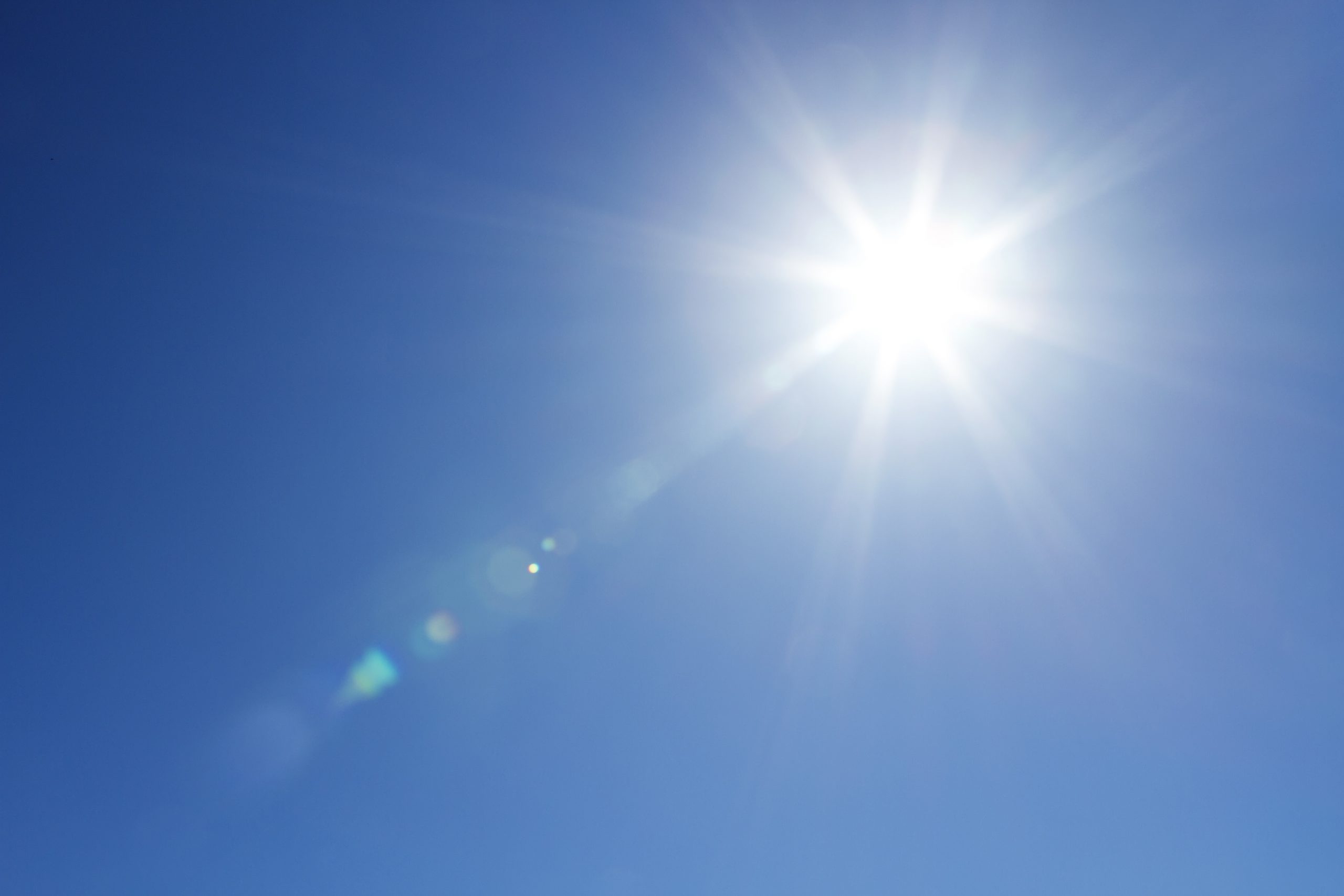2017 weather leads to blend of mycotoxins. Photo: Shutterstock