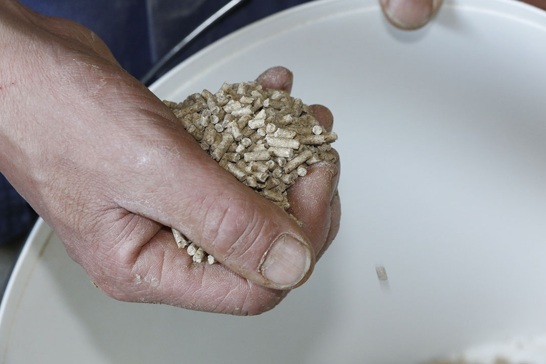 Industrial compound feed production is likely to remain stable in 2020. Photo: Henk Riswick