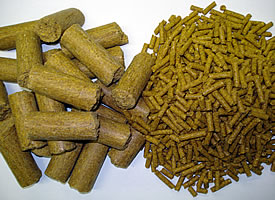 Feed cost savings with new thermostable enzyme