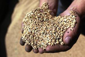 UkrLandFarming initiates the build of a new feed mill