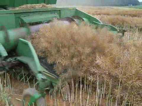 New growth regulator is first true PGR for oilseed rape