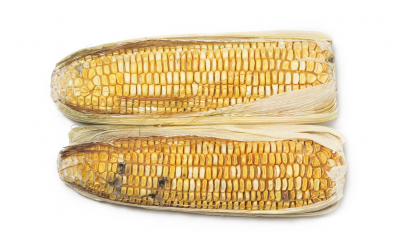 Neogen launches water-based aflatoxin test