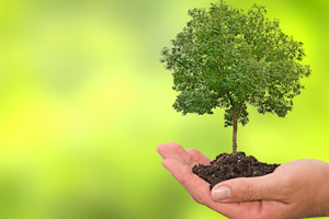 IFIF committed to reducing livestock GHG emissions