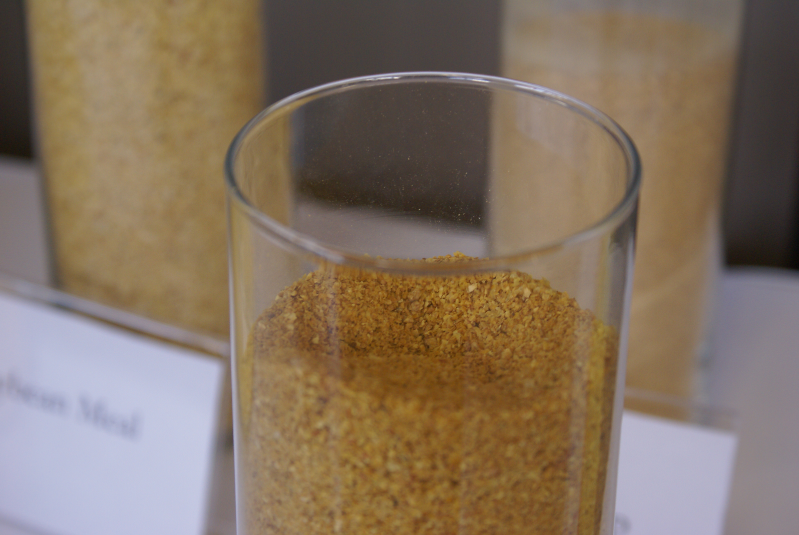 Most mycotoxins in basic feedstuffs