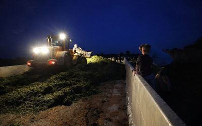 With silage-making going on until late in the night, make sure that all lights work properly. Photo: Bert Jansen