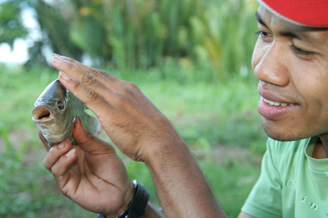 Aquaculture to become major protein source