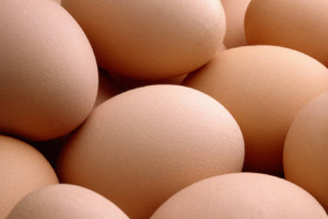 Excentials shares insights on betaine and organic selenium