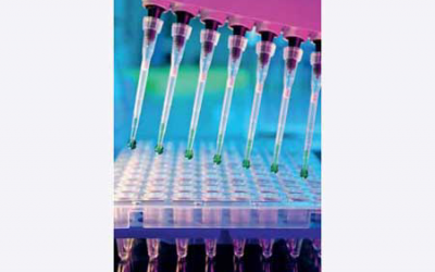 TNO Triskelion has developed a reliable real time PCR-test for tracing ruminant protein in animal feeds.