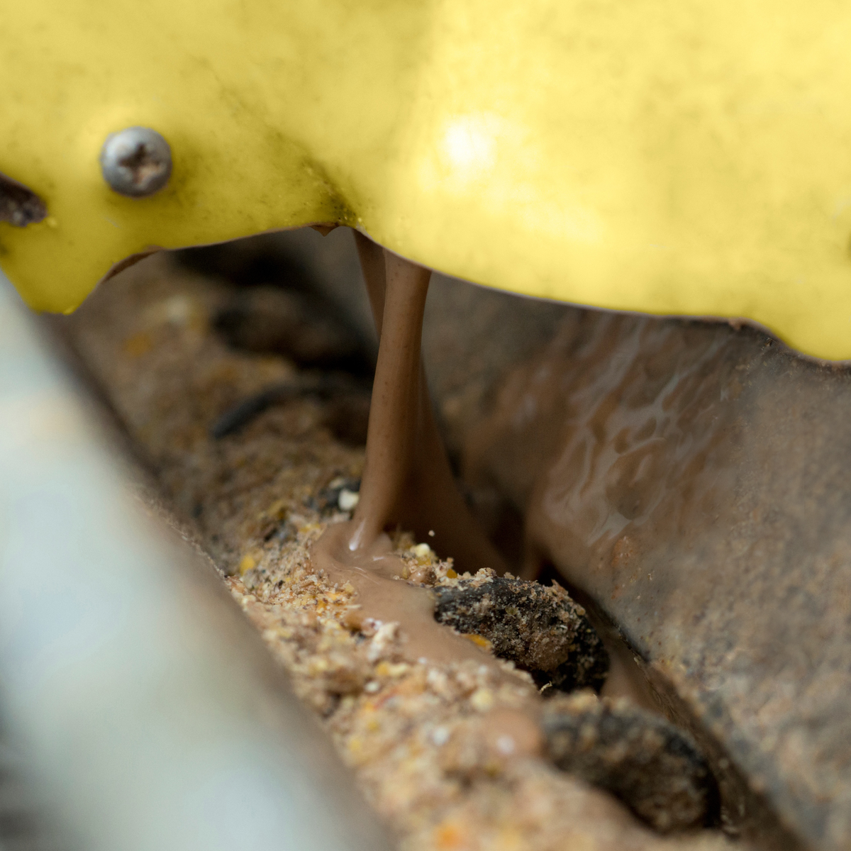 Joint innovation to create poultry moist feed