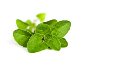 Natural solutions: Organic acids and phytogenetics. Photo: Dreamstime