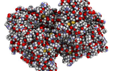 Formulating and applying a multi-enzyme solution. Photo: Shutterstock